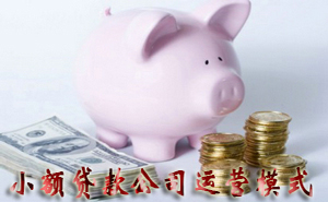 小额贷款公司运营模式