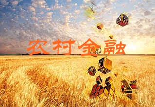 农村金融