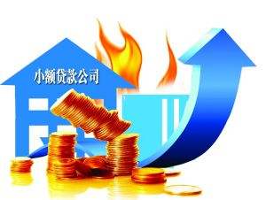 浅谈：小额贷款公司的运作特点